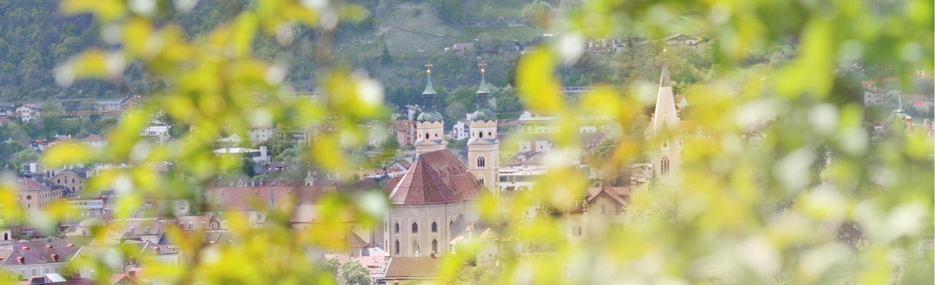 Vista su Bressanone