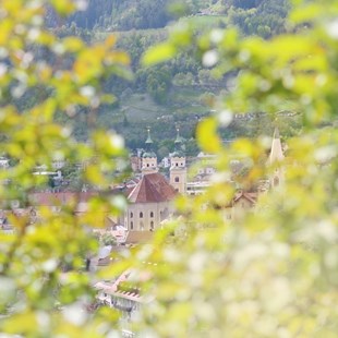 Vista su Bressanone
