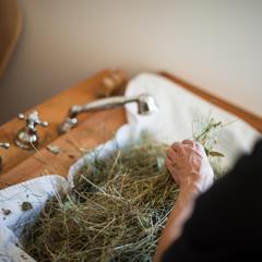 Someone is preparing a hay bath