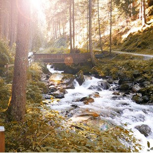 A stream