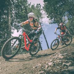 Two mountain bikers speed through a rocky forest trail with a tight bend.