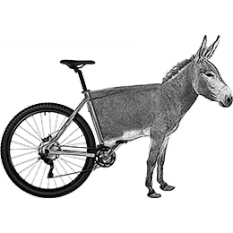 Metà asino, metà bici