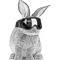 A rabbit with ski goggles