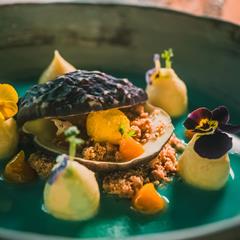 Dessert with edible flower, cream dots and chocolate shell on turquoise sauce.
