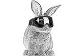 Ein Hase mit einer Skibrille