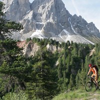 Zwei Mountainbiker fahren auf einem Waldweg mit Blick auf imposante Berggipfel im Hintergrund.