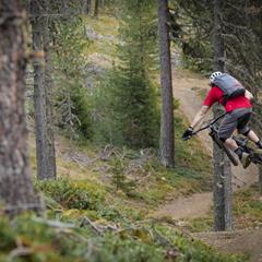 2017-plose-bikepark-foto-manfred-stromberg-37